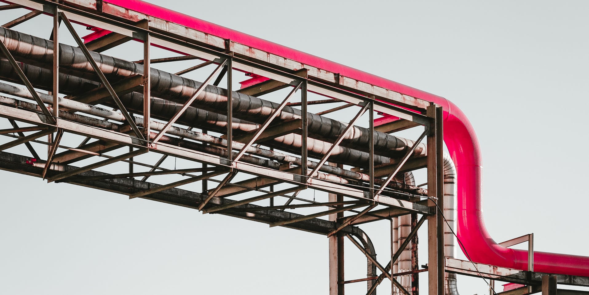 Free stock photo of bottle, christmas, elegant
